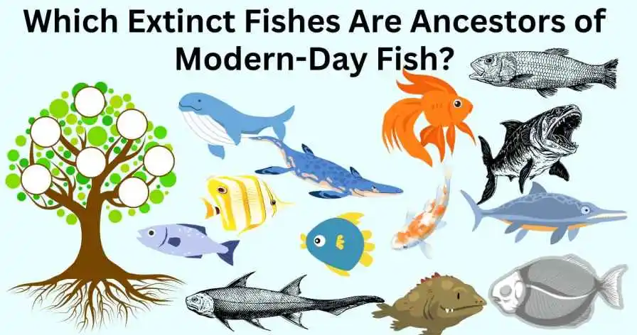 Which Extinct Fishes Are Ancestors of Modern-Day Fish?